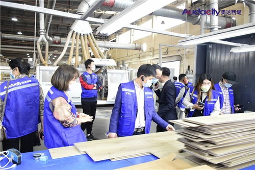 奧達(dá)西堤石晶地板招商及培訓(xùn)會(huì)盛大啟幕 攜手共創(chuàng)健康人居新未來